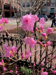 Dinner-bouquet-option