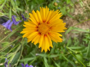 Dinner-bouquet-option