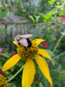 Dinner-bouquet-option