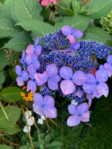 Dinner-bouquet-option