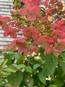 Dinner-bouquet-option