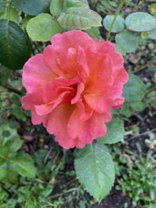 Dinner-bouquet-option