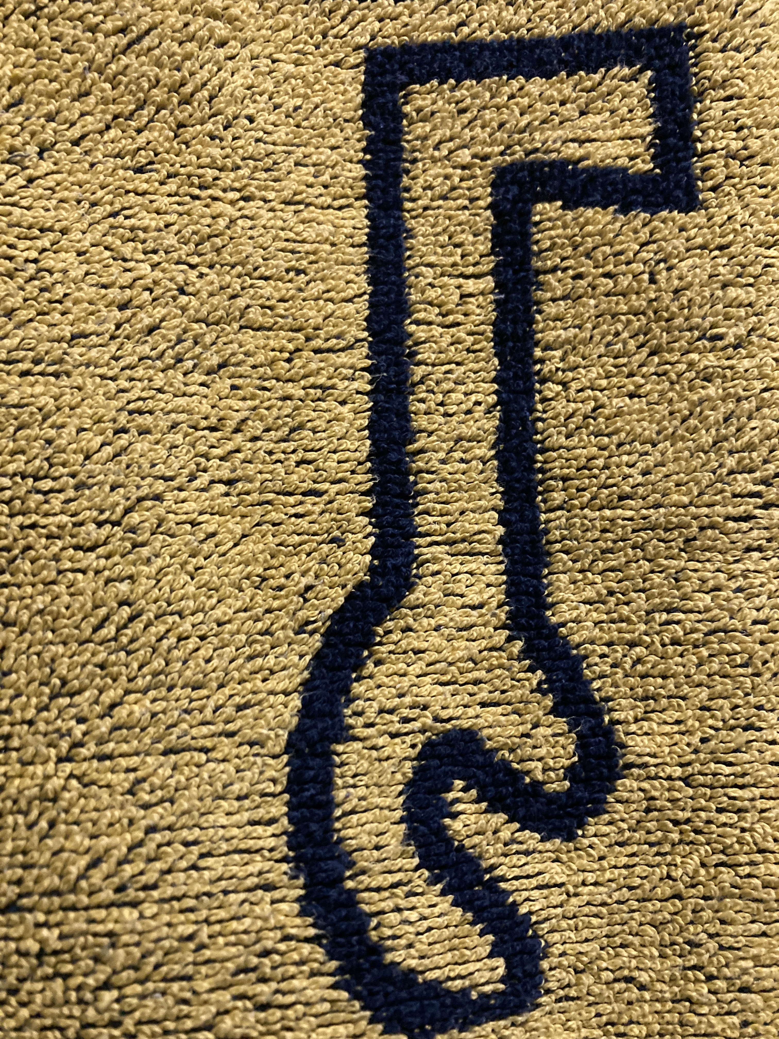 M- beach-towel's-Egyptian-hieroglyphic-immulates-proto-alphabetic-"Yod".