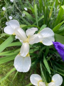 Dinner-bouquet-option