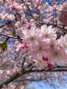 Dinner-bouquet-option