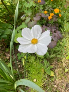 Dinner-bouquet-option /
