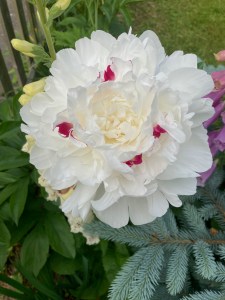 Dinner-bouquet-option