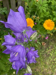Dinner-bouquet-option